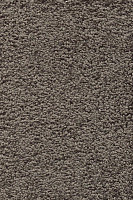 Ковролин AW Devotion 39 фото 1 | FLOORDEALER